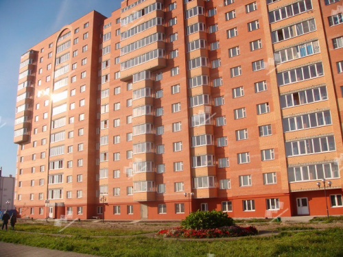 Облицовочный кирпич Железногорский Евро 0,5 НФ Красный гладкий